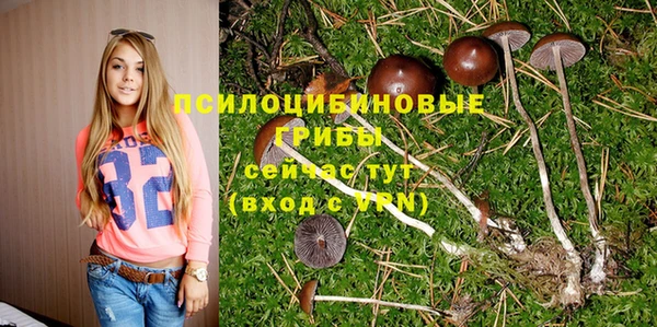 дурь Арсеньев