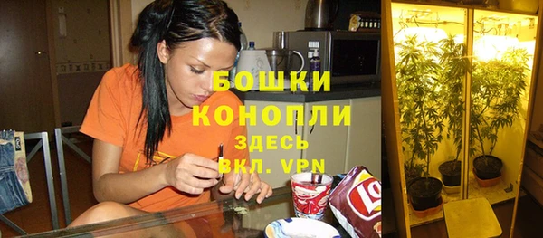 дурь Арсеньев
