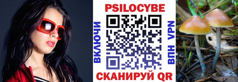 Псилоцибиновые грибы Psilocybe  Купить закладки  Омск 