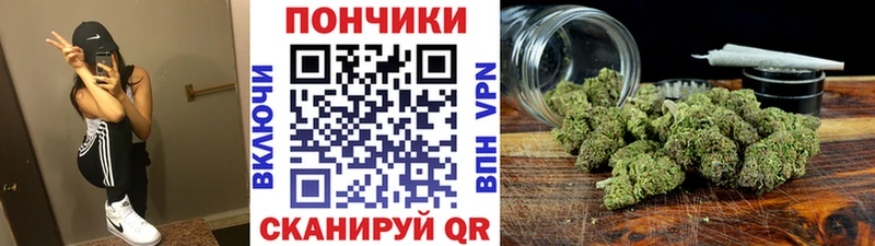 Купить где  Омск  МАРИХУАНА ГИДРОПОН 